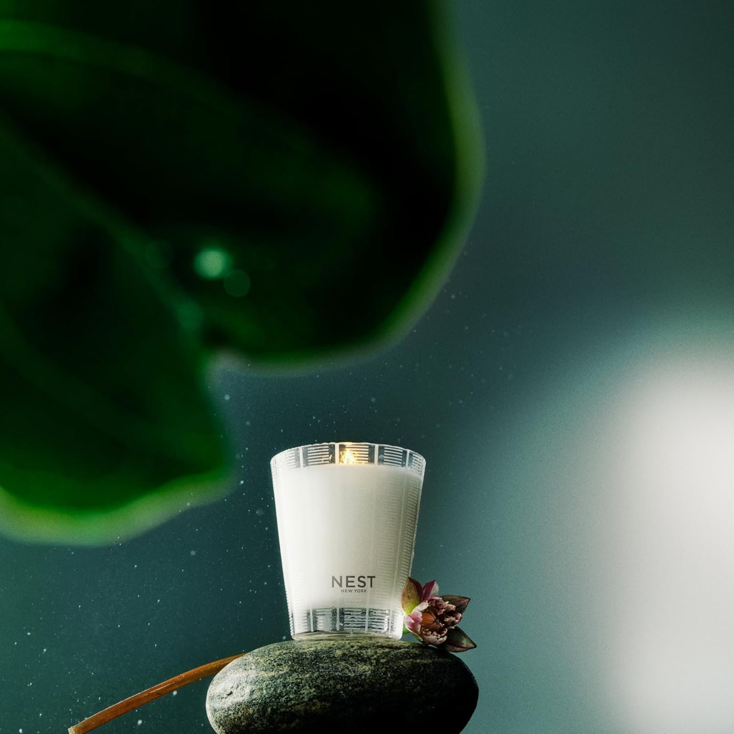 NEST New York Scented Classic Candle, Forest Rain - 8.1 oz - Up to 60-Hour Burn Time - Reusable Glass Vessel - Image 5