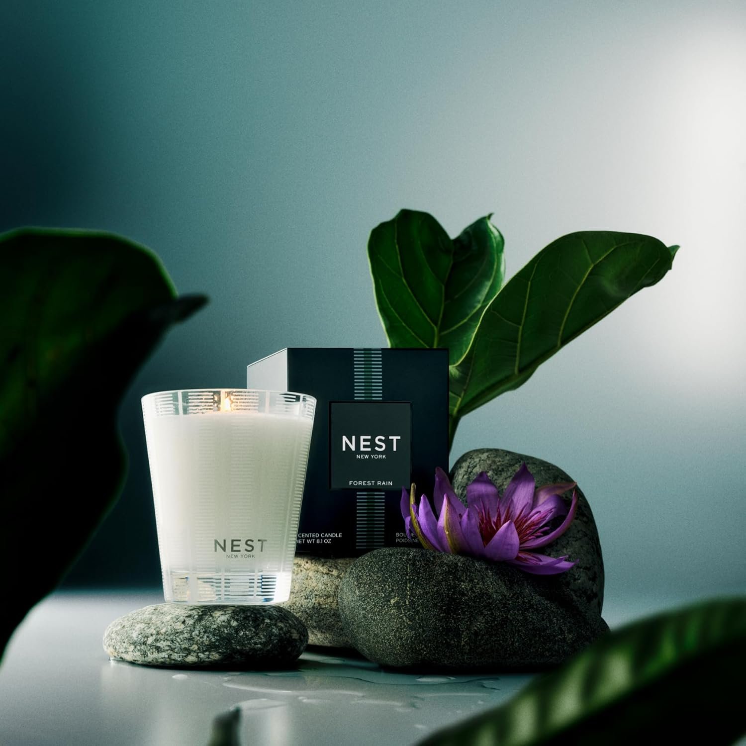 NEST New York Scented Classic Candle, Forest Rain - 8.1 oz - Up to 60-Hour Burn Time - Reusable Glass Vessel - Image 4
