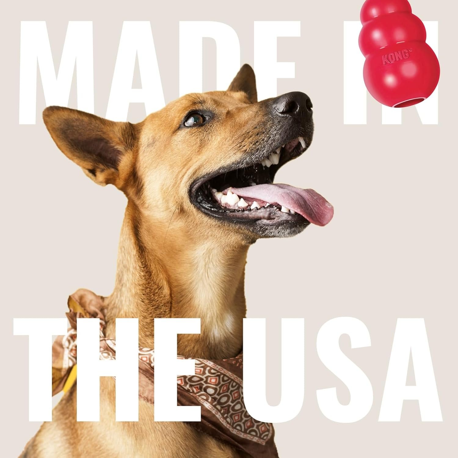 KONG Flyer - Durable Dog Toy for Outdoor Playtime - Natural Rubber Flying Disc, Dog Toy for Fetch - Safer Disc for Healthy Activity - for Small Dogs - Image 6
