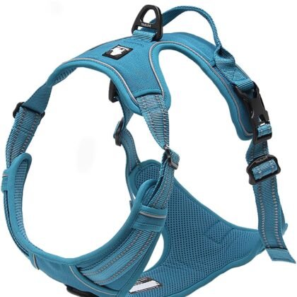 TRUE LOVE Truelove Adjustable No-Pull Dog Harness Reflective Pup Vest Harnesses Comfortable Control Brilliant Colors TLH5651(Blue,L)