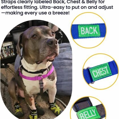Easy Walk No Pull Dog Harness, Freedom Walk with Front and Back Clips Stainless D-Rings, Comfortable, Sewn-in Instructions Tags for Easy Use, for Medium Dogs Weight 30-39lbs (Purple, M)