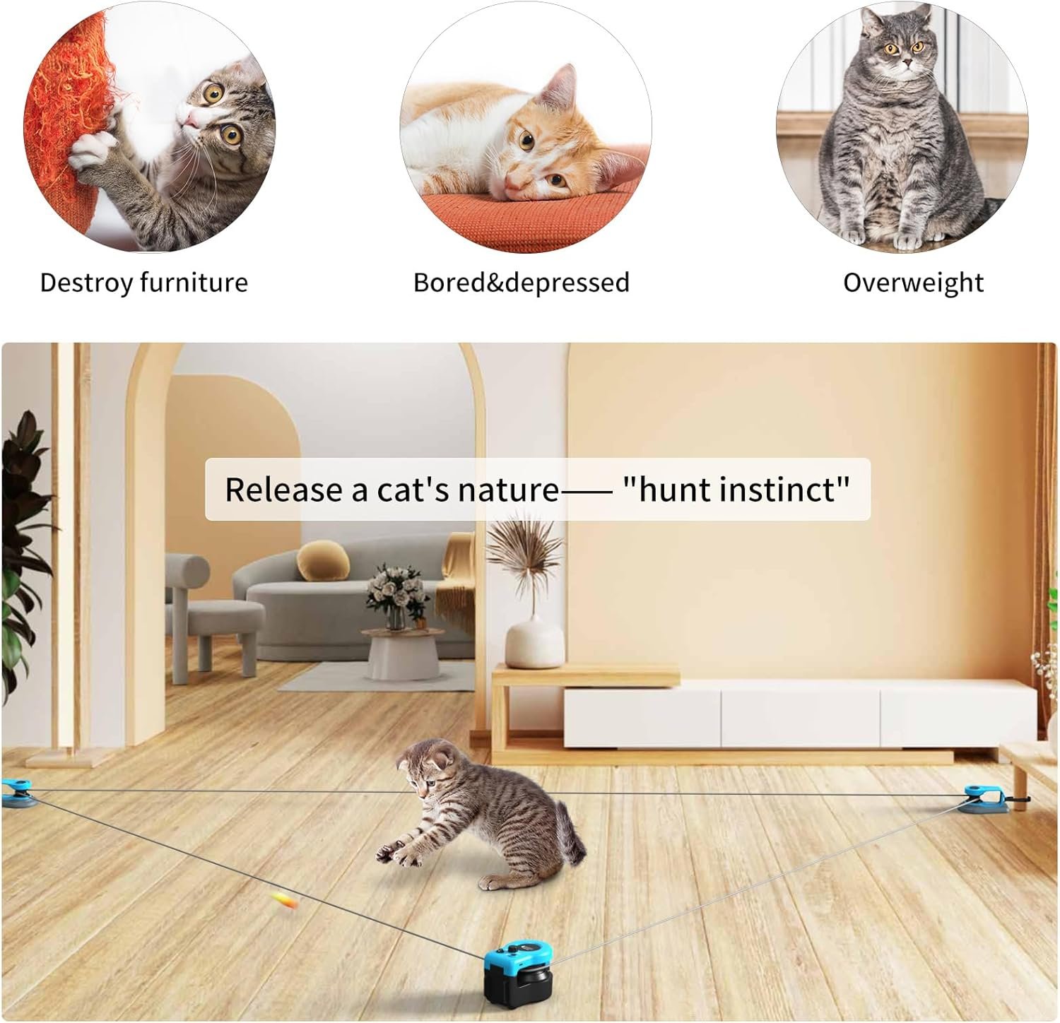 AsFrost Upgraded Interactive Cat Toy for Indoor Cats, Auto/Manual Control DIY Cat Feather Mouse Toy Treadmill for Bored Kitten Puppy Play Chase Run Exercise Hunting Mental Stimulation-Sky Blue - Image 5