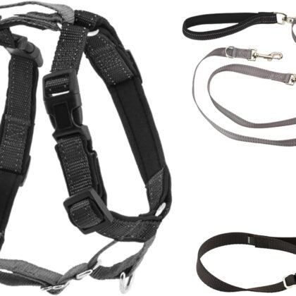 PetSafe 3-in-1 Harness with Two-Point Control Leash - Custom Fit Durable Obedience Gear for Gentle Behavior Training to Reduce Leash Pulling - Breathable Padded Design - Medium - Black