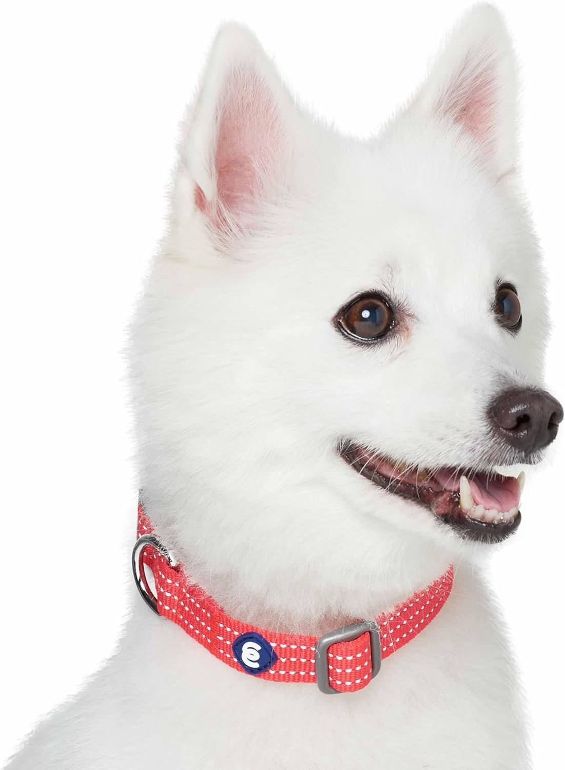 Blueberry Pet Essential Large Safety Reflective Dog Collar in FieryRed | Adjustable Classic Nylon Strap | Durable, Stylish & High-Visibility Pet Accessory - Image 4