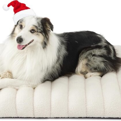 LE SURE Cute Orthopedic Dog Bed Large Sized Dog, Waterproof Chic Flat Pet Beds with Removable Washable Cover, Fuzzy Thick Egg Crate Foam Pet Mat for Indoor Use (36" x 27", Cream)