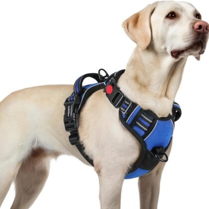 rabbitgoo Dog Harness for Large, No Pull Pet Harness with 3 Buckles, Adjustable Soft Padded Vest with Control Handle, Walking Reflective Pet Vest for Large Dogs, Blue, L