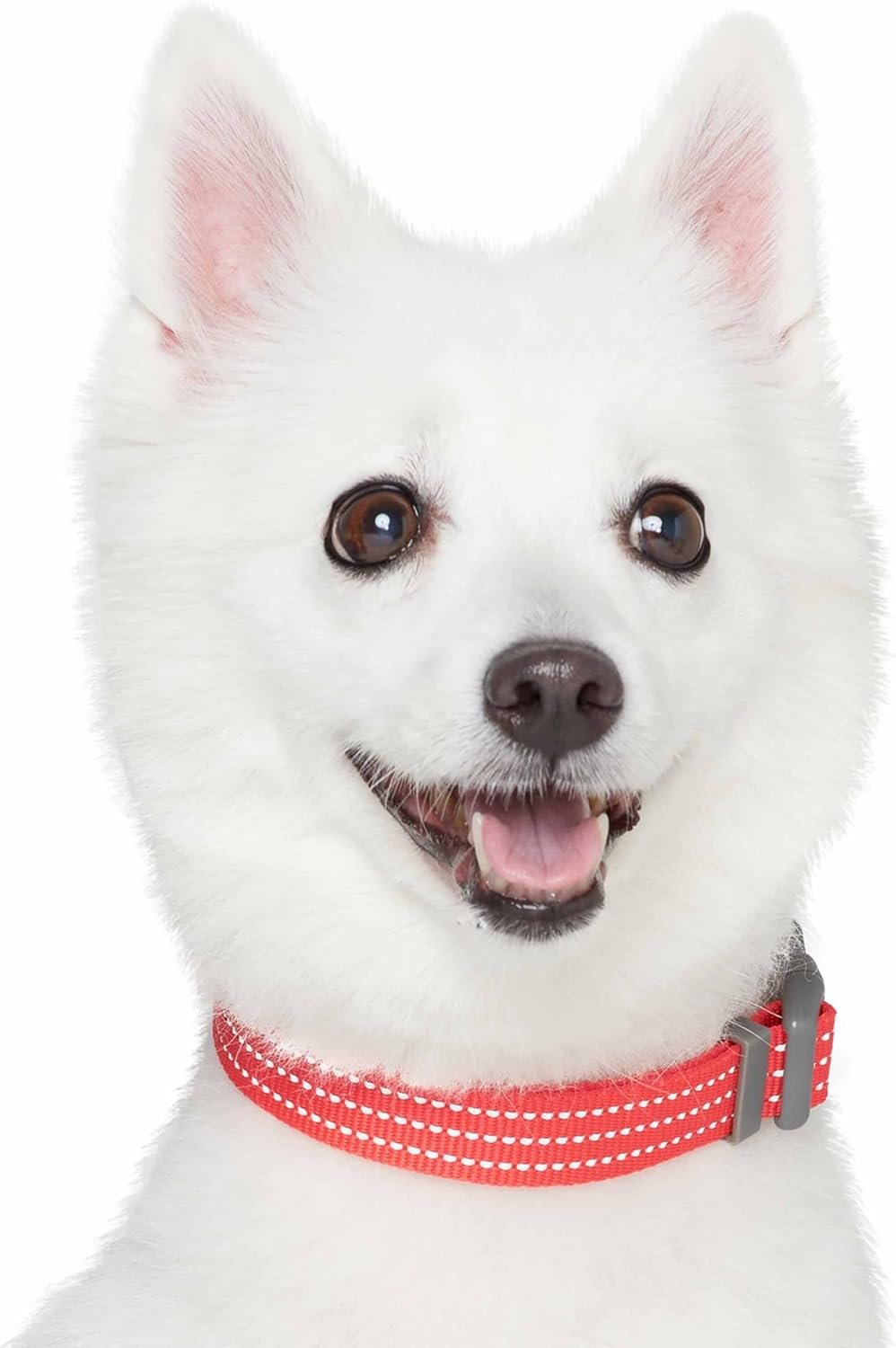 Blueberry Pet Essential Large Safety Reflective Dog Collar in FieryRed | Adjustable Classic Nylon Strap | Durable, Stylish & High-Visibility Pet Accessory - Image 5