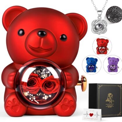 Rose Bear Teddy with Necklace Gift Box for Girlfriend, Cute Forever Flower Bear Preserved Rose Romantic Gift for Her, Valentines Bear Eternal Rose Flower Bear Anniversary Decoration for Woman Mom, Red