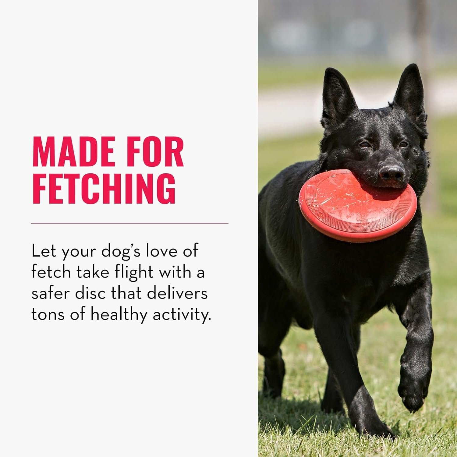 KONG Flyer - Durable Dog Toy for Outdoor Playtime - Natural Rubber Flying Disc, Dog Toy for Fetch - Safer Disc for Healthy Activity - for Small Dogs - Image 3