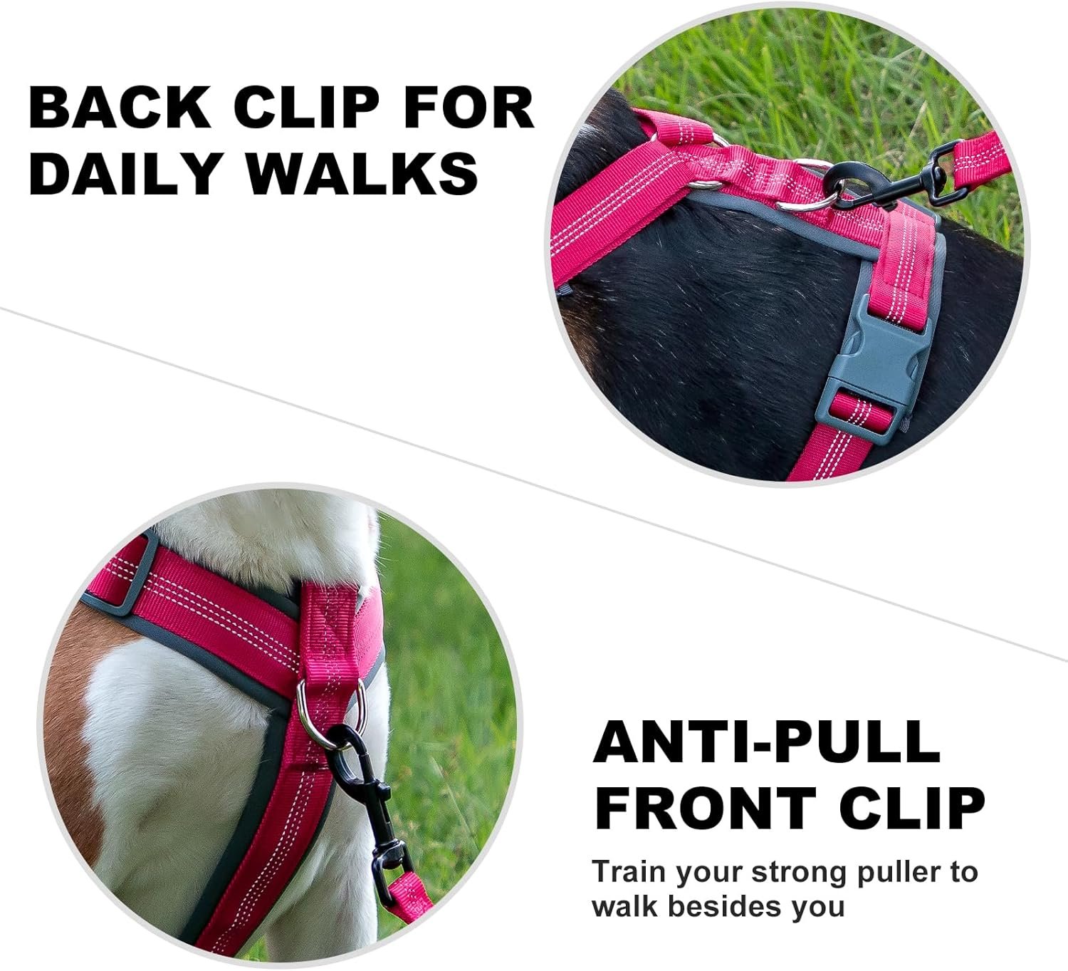 Plutus Pet No Pull Dog Harness, Adjustable Nylon Harness with Soft Padding, Reflective and Heavy Duty Dog Harness for Small, Medium, Large Dogs(Hot Pink, M) - Image 4
