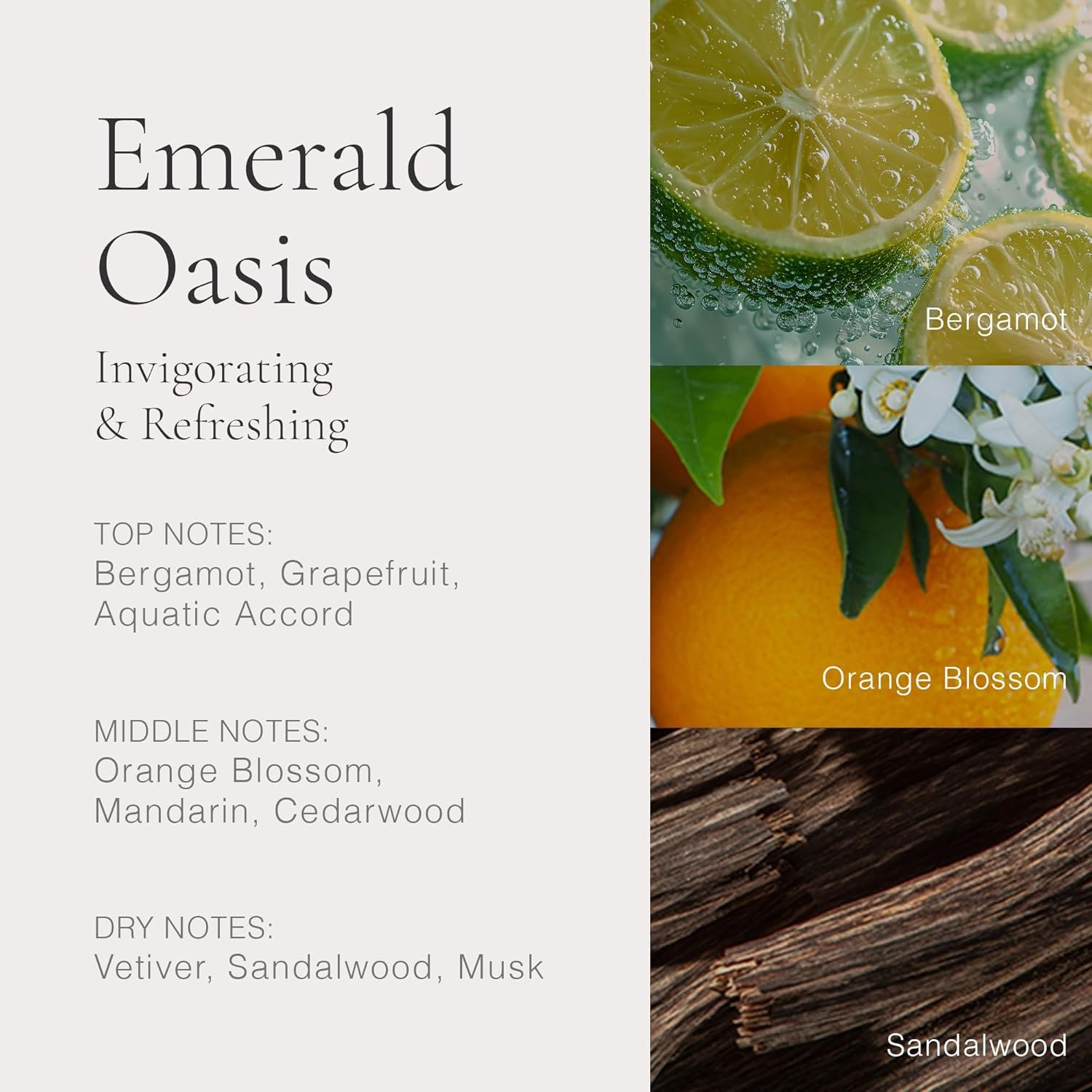 CLEAN H2EAU Fragrance Discovery Gift Set, Travel Mini Size, Water-Based Layerable Daily Perfume, Cruelty-Free, Ethyl Alcohol, Phthalate & Paraben Free - Image 4