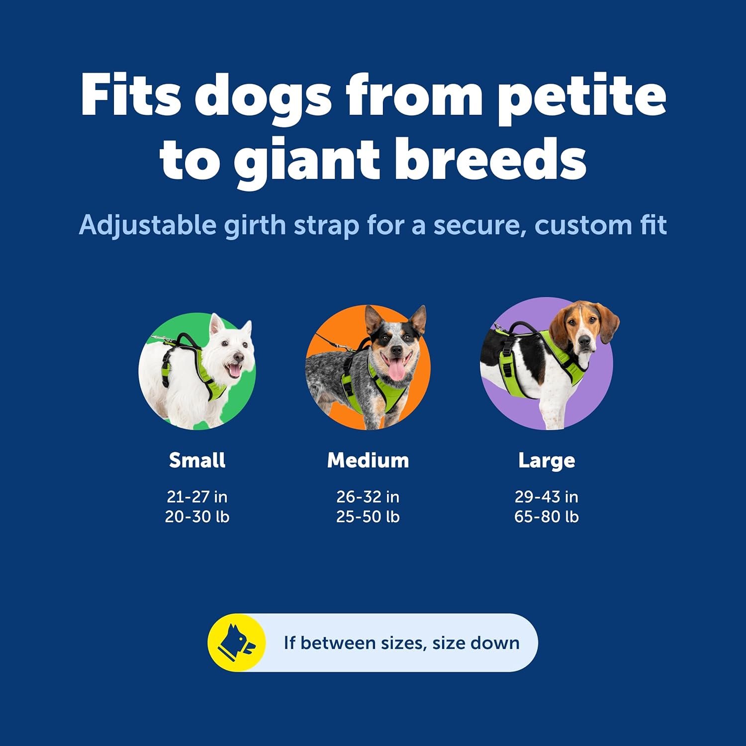 PetSafe EasySport Harness - Durable Padded Fabric, Adjustable Elastic Neckline, Rear-Leash Attachment & Nighttime Reflective Visibility - No Choke or Gag Secure Fit - Large - Charcoal - Image 5