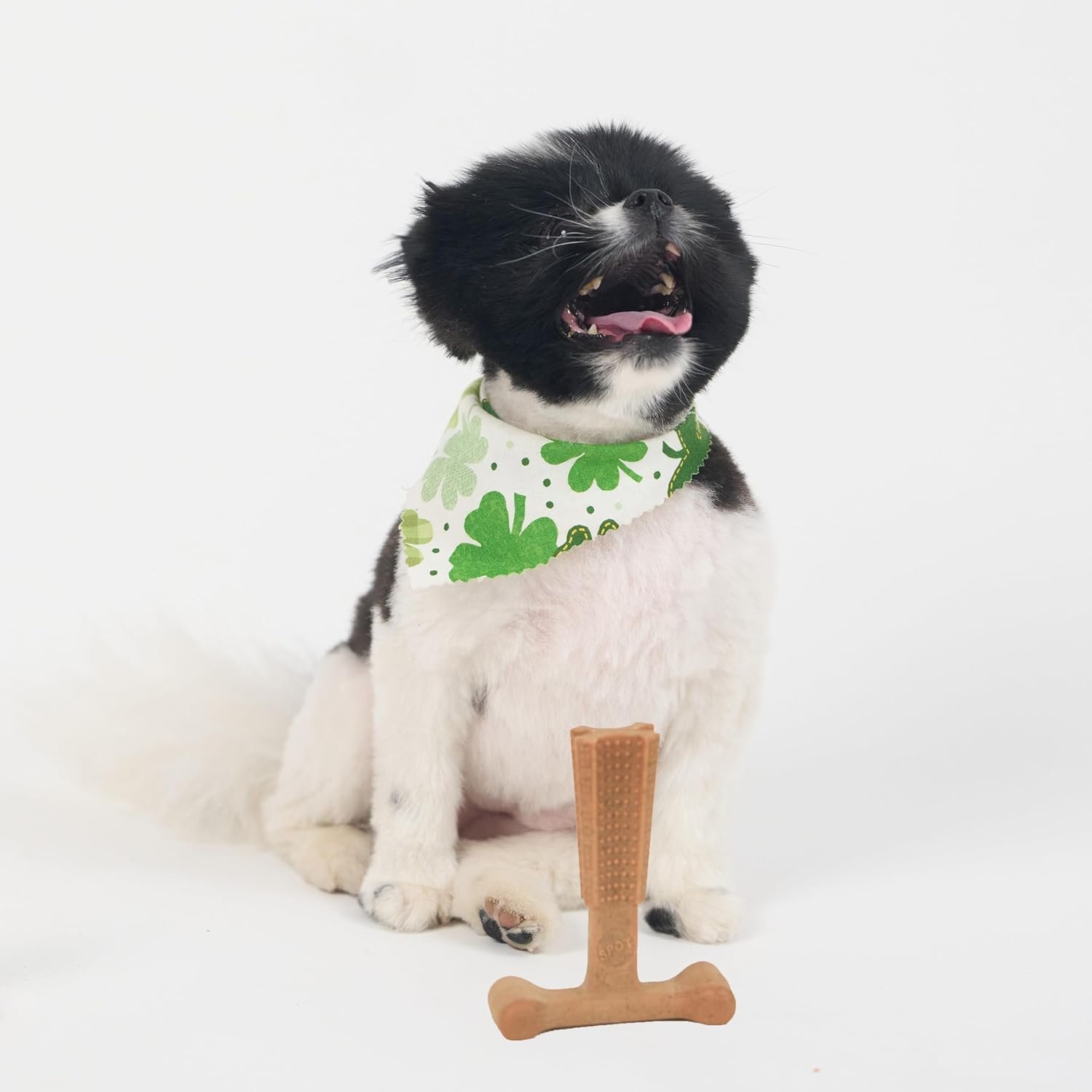 SPOT Bam-Bones Plus T-Bone, Bamboo Fiber & Nylon Dog Chew, Durable for Aggressive Chewers, Non-Splintering, for Adult Dogs & Teething Puppies Under 30lbs, 4in, Chicken Flavor - Image 10