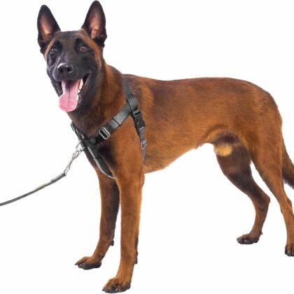 APDEXY Freedom No Pull Dog Harness, Front Clip, Easy Walk, Dog Friendly with 2 Stainless D-Rings, Sewn-in Instructions Tags for Easy Use, for Large Dogs Weight 60-80 lbs (Black, L)