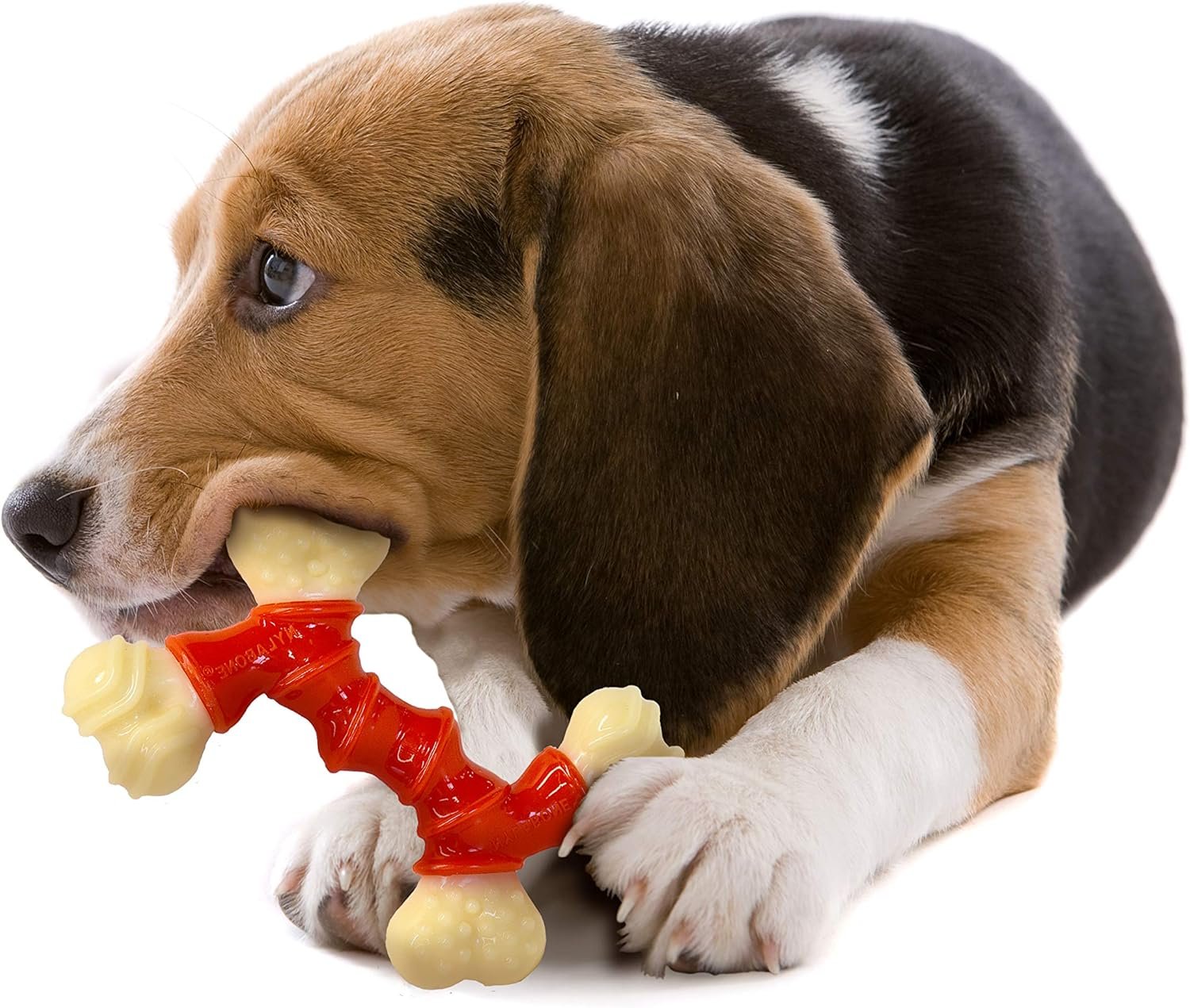 Nylabone Double Bone Power Chew Toy for Dogs, Dog Toys for Aggressive Chewers, Bacon Flavor, Medium - Up to 35 lbs, 1 Count - Image 7