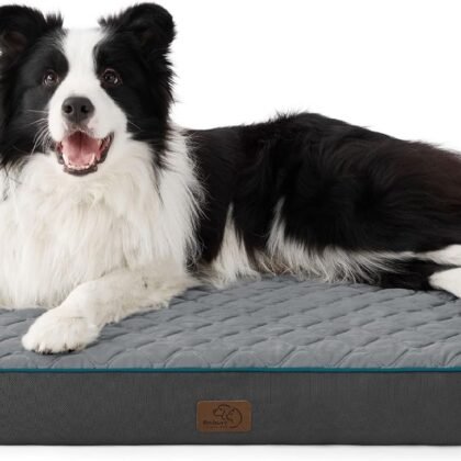 Bedsure Orthopedic Dog Bed Large Sized Dog - Memory Foam Pet Mattress with Removable Washable Cover and Egg Crate Foam, Thick Flat Suitable for Pet Up to 65 lbs, 36x27x3.5 Inches, Grey