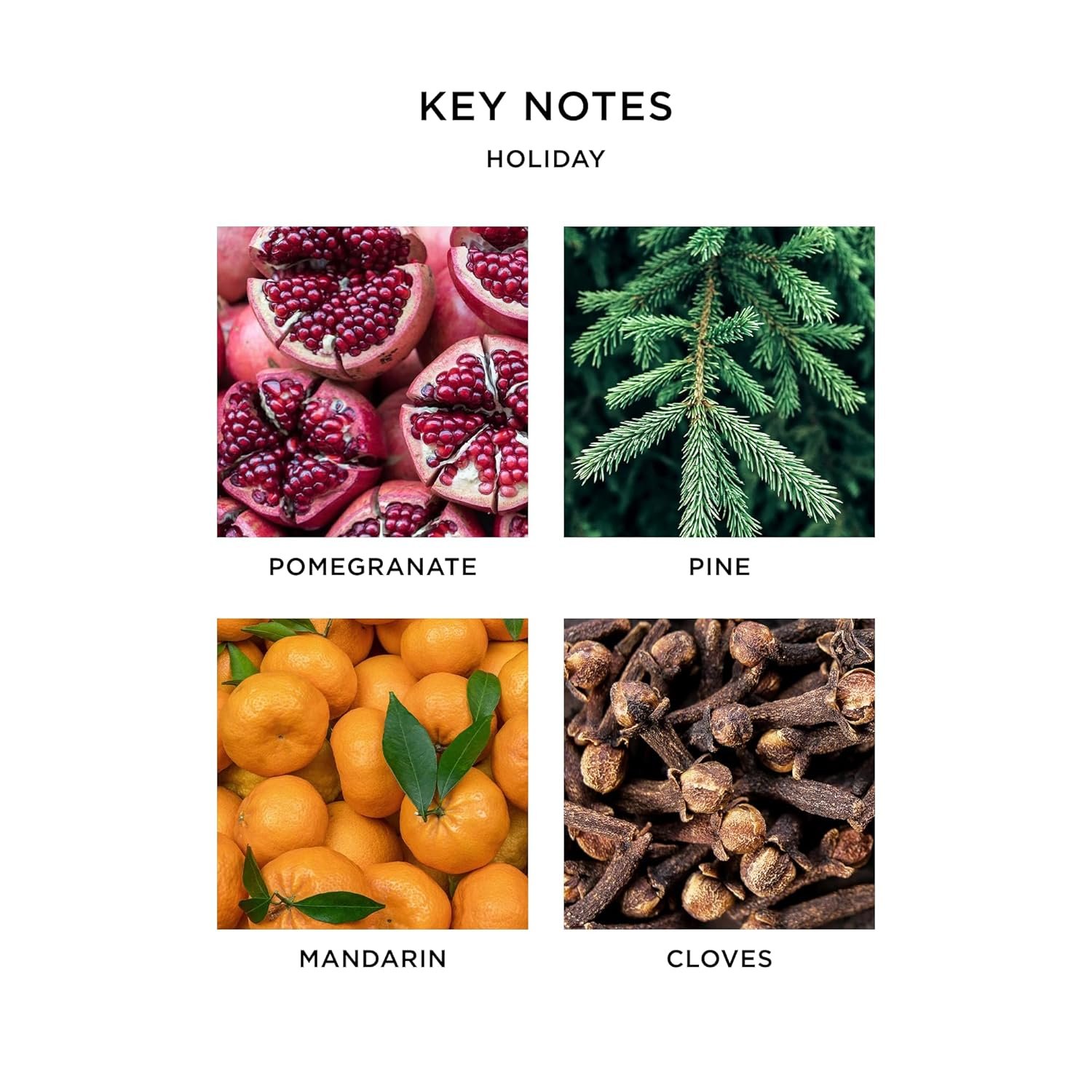 NEST New York Liquid Soap, Holiday - 10 fl oz - Cleanses & Nourishes Skin - Approx. 300 Pumps Per Bottle - Gluten Free & Cruelty Free - Image 4