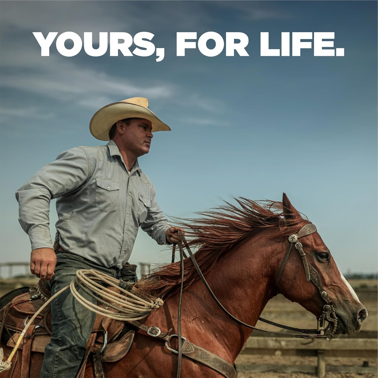 Benchmade - Mini Osborne, Every Day, Outdoor, Folding Knife, Reverse Tanto Blade with Black Carbon Fiber Handle (945-2) - Image 8