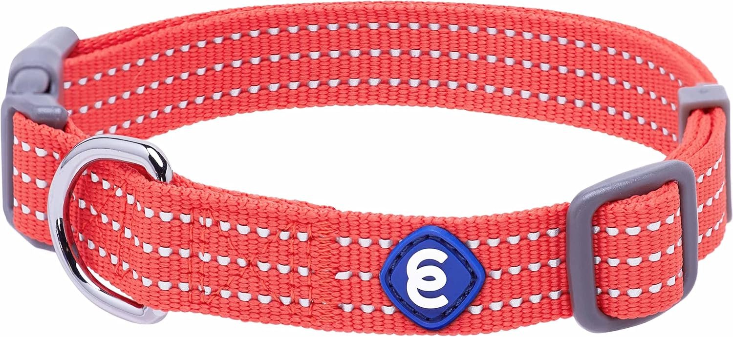 Blueberry Pet Essential Large Safety Reflective Dog Collar in FieryRed | Adjustable Classic Nylon Strap | Durable, Stylish & High-Visibility Pet Accessory