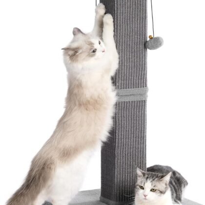 Pawfessor Large Cat Scratching Post with Heavy Duty Base 33" Sturdy Square Sisal Scracher Post and 2 Interactive Hanging Balls for Big Cats-Grey