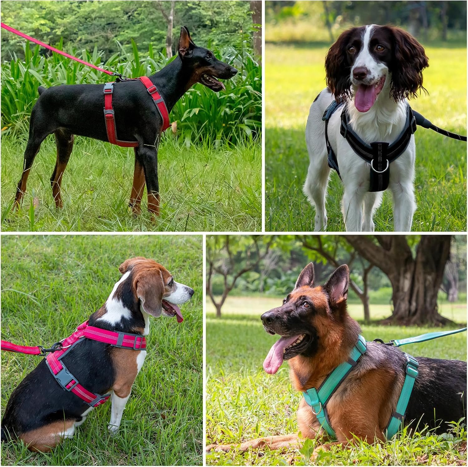 Plutus Pet No Pull Dog Harness, Adjustable Nylon Harness with Soft Padding, Reflective and Heavy Duty Dog Harness for Small, Medium, Large Dogs(Hot Pink, M) - Image 6