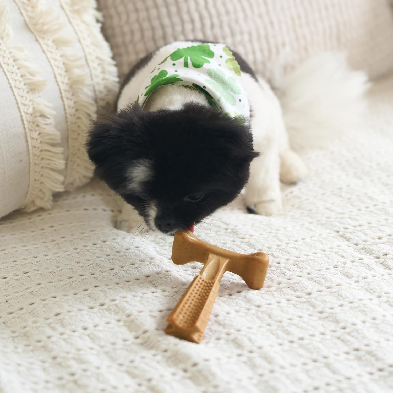 SPOT Bam-Bones Plus T-Bone, Bamboo Fiber & Nylon Dog Chew, Durable for Aggressive Chewers, Non-Splintering, for Adult Dogs & Teething Puppies Under 30lbs, 4in, Chicken Flavor - Image 11