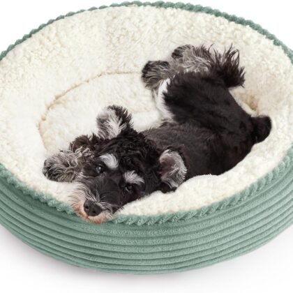 Love's cabin Round Donut Cat and Dog Cushion Bed, 25in Pet Bed for Small or Medium Dogs, Anti-Slip & Water-Resistant Bottom, Soft Durable Fabric Pet Beds, Washable Calming Cat Bed Apple Green Stripe