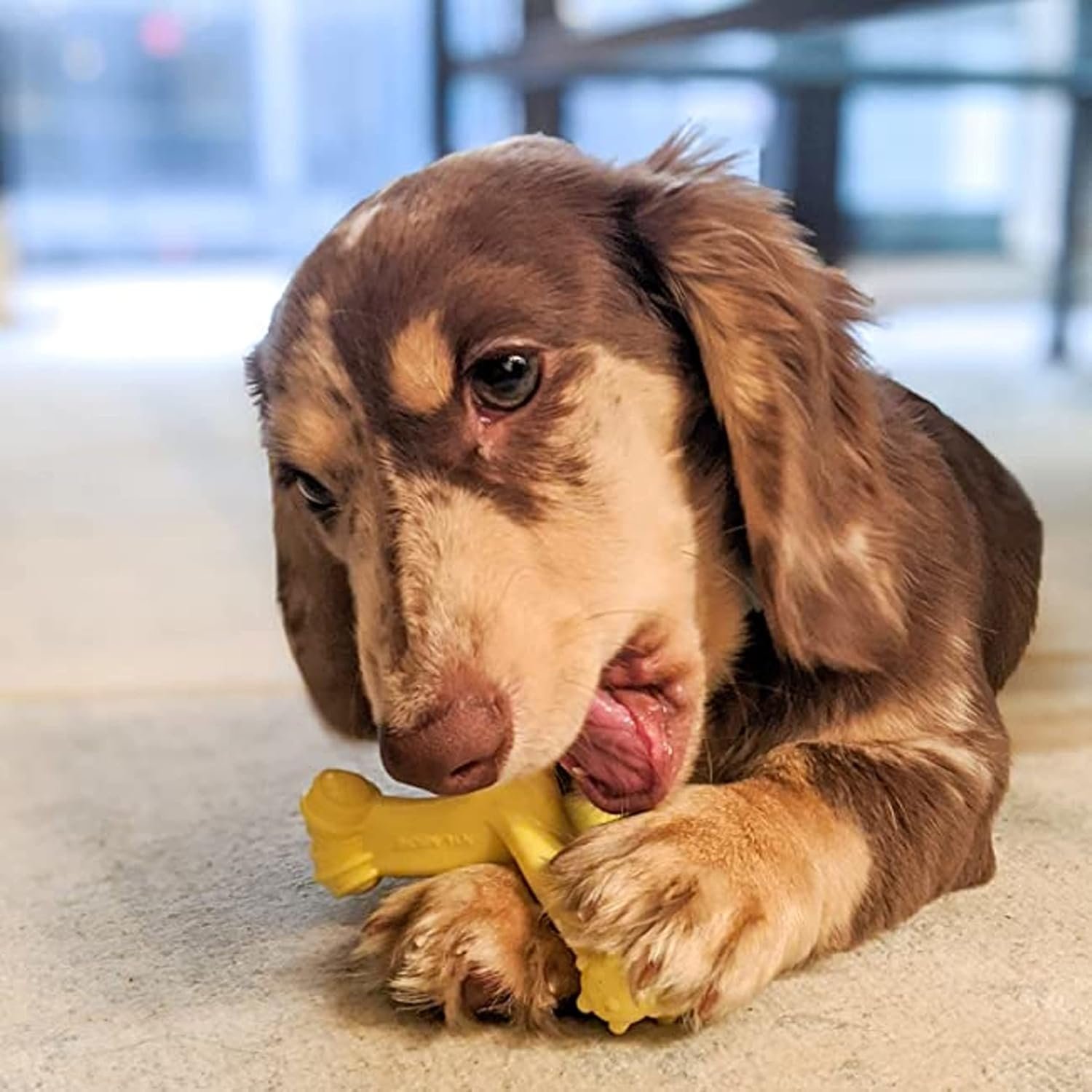 Nylabone Axis Bone Power Chew Toy for Dogs, Dog Toys for Aggressive Chewers, Vanilla Flavor, Small - Up to 25 Ibs, 1 Count - Image 2