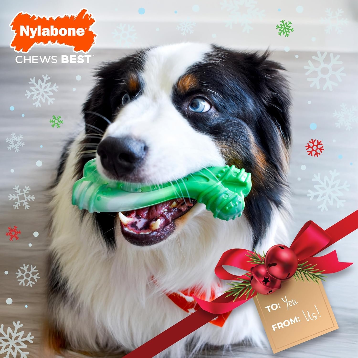 Nylabone Holiday Edition Curvy Dental Bone Power Chew Toy for Dogs, Dog Chew Bones for Aggressive Chewers, Wintergreen Flavor, Large - Up to 50 lbs, 1 Count - Image 2