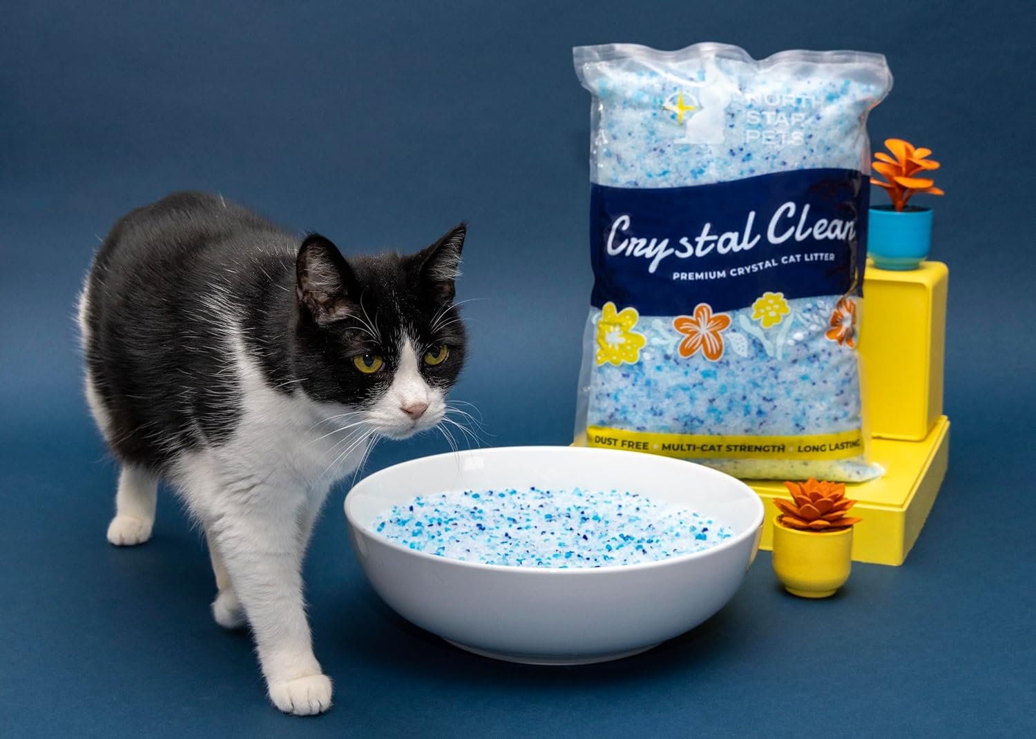 Crystal Clean Premium Fresh Scent Crystal Cat Litter with Odor Control (5X Faster), Best Lightweight, Non Clumping Kitty Litter to Absorb Urine, Dries Solid Waste (2X4.3 Lb Bags) - Image 5