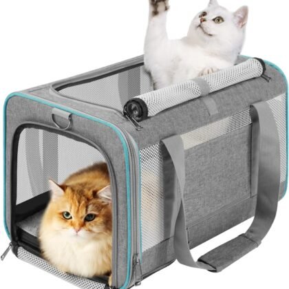 Pet Carrier for Large Cats 20 lbs+ / Soft Sided Small Dog Travel Carriers Top Load/Collapsible Carrier Bag for Big Cat / 2 Kittens Sturdy Transport Carriers Long Trips/Medium Cats 15 pounds