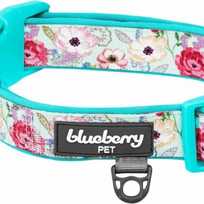 Blueberry Pet Soft & Comfy Peony Flower Print Neoprene Padded Adjustable Dog Collar, Minty Green, Medium, Neck 14.5"-20"