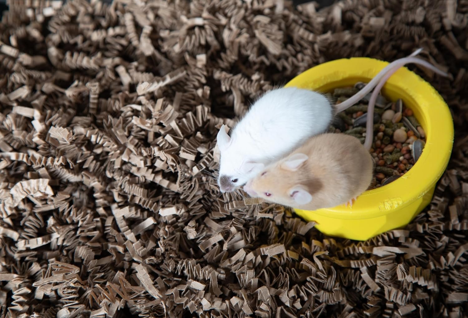 ECO BEDDING 99% Dust-Free Paper Bedding for Small Pets and Birds, Eco Natural, 1.5 lb - Safe, Clean, Ideal Nesting & Burrowing Material for Comfort - Image 8