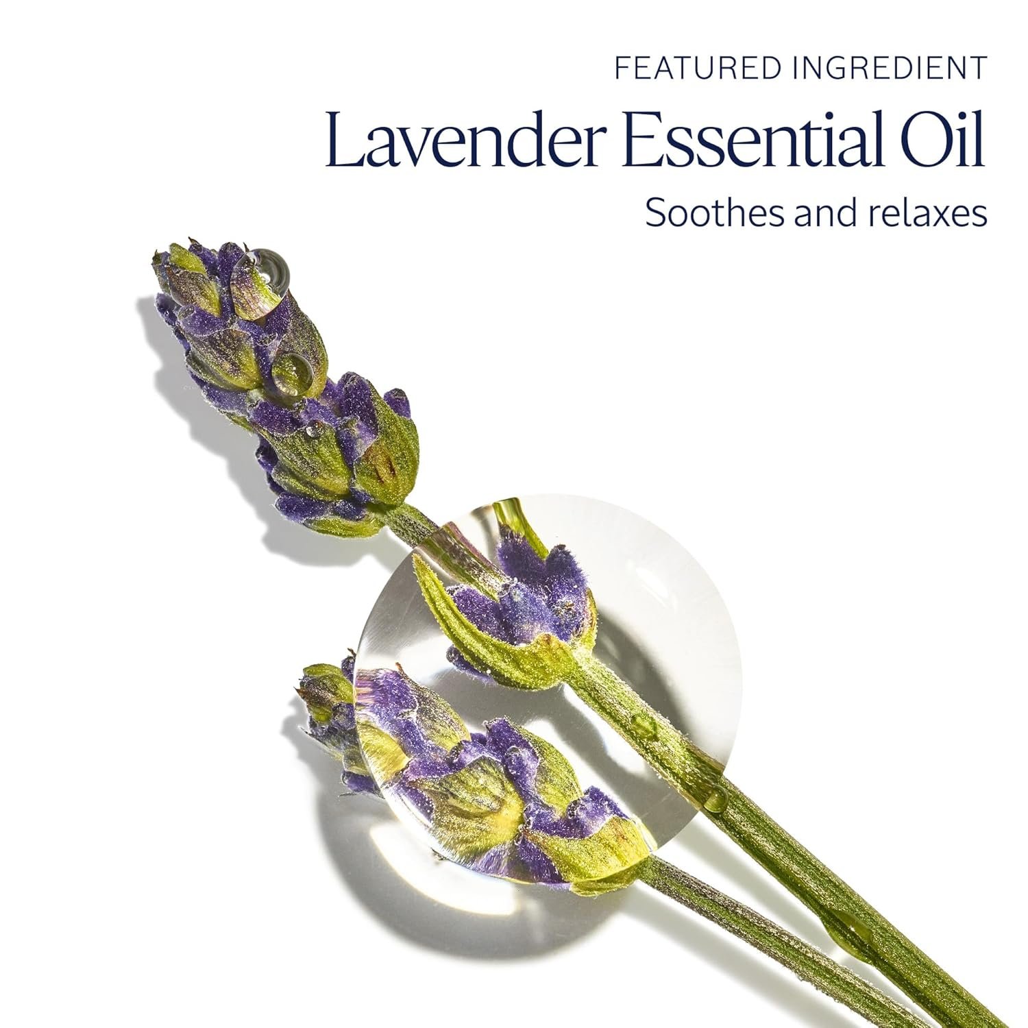L'OCCITANE Hand Cream: Nourishes Very Dry Hands, Protects Skin, With Shea Butter, Vegan, Lavender, Cherry Blossom, Rose, Neroli Orchidee, Verbena, Peony, Barbotine - Image 4