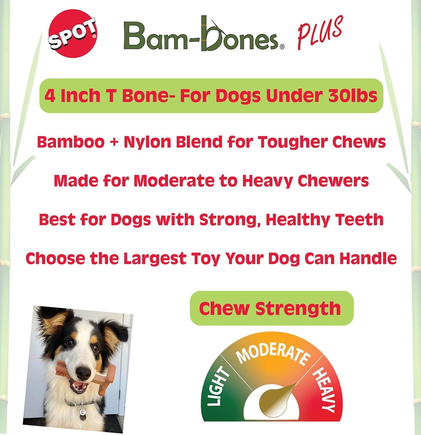 SPOT Bam-Bones Plus T-Bone, Bamboo Fiber & Nylon Dog Chew, Durable for Aggressive Chewers, Non-Splintering, for Adult Dogs & Teething Puppies Under 30lbs, 4in, Chicken Flavor - Image 2