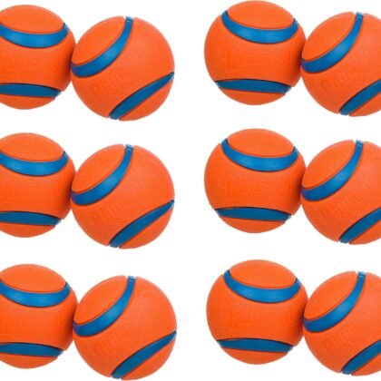 Chuckit! Medium Dog Toy Ball (6 Pack, 12 Balls Total, 2.5-Inch, Orange, Water Resistant, Medium Breeds)