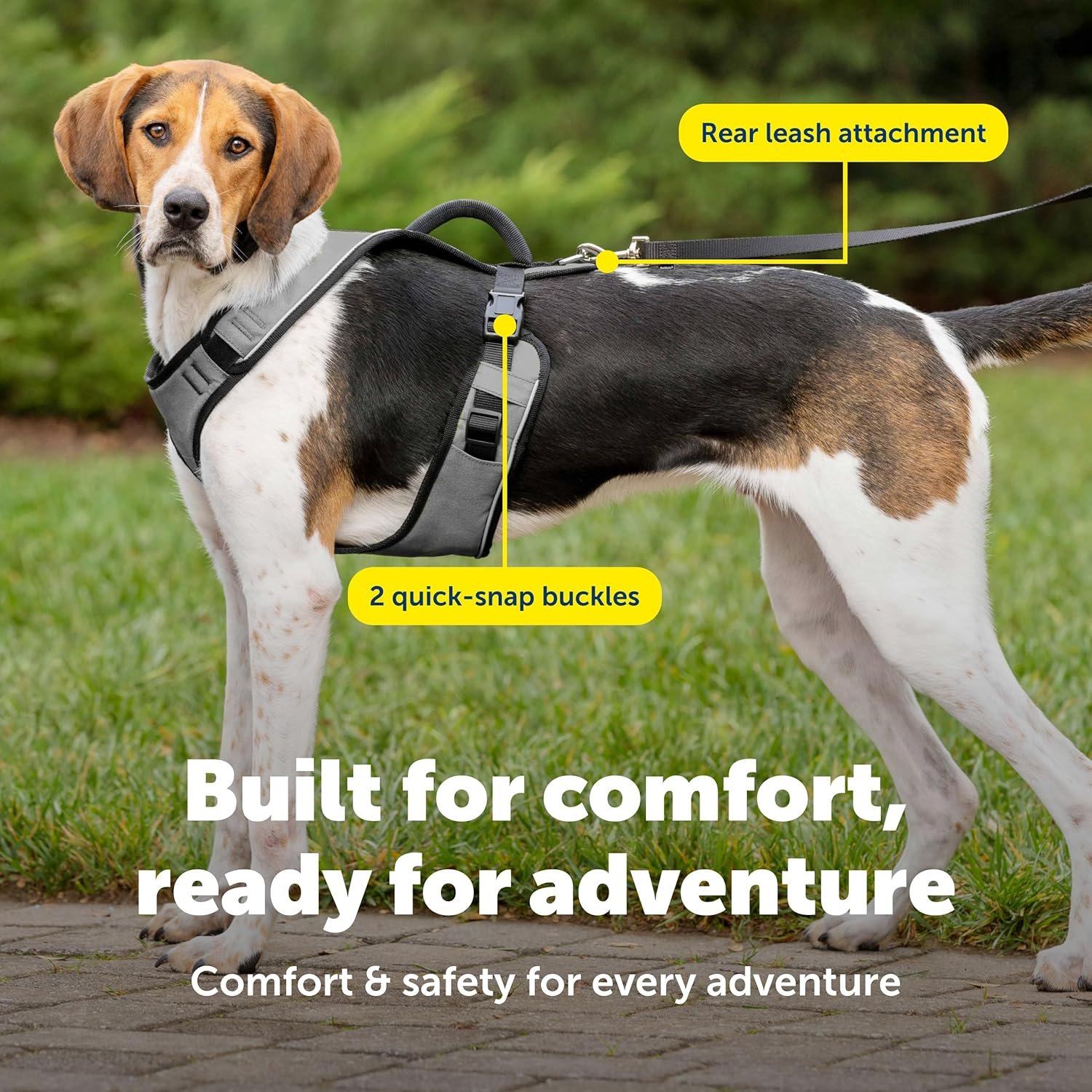 PetSafe EasySport Harness - Durable Padded Fabric, Adjustable Elastic Neckline, Rear-Leash Attachment & Nighttime Reflective Visibility - No Choke or Gag Secure Fit - Large - Charcoal - Image 4