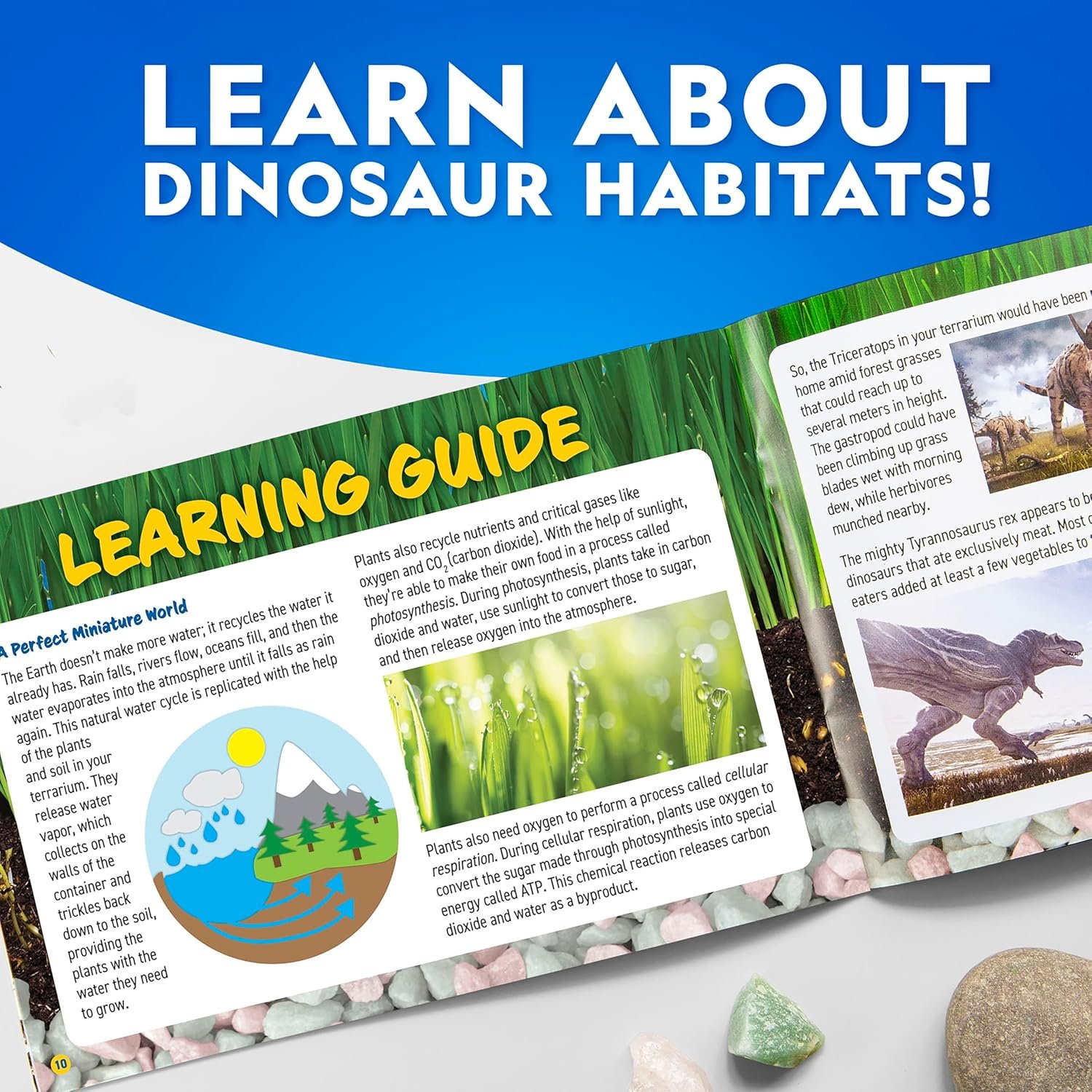 National Geographic Light-Up Dinosaur Terrarium Kit for Kids – Build a Prehistoric Habitat with Play Sand, Real Gemstones & Dino Figures, Science Activity Kit for Boys & Girls - Image 7