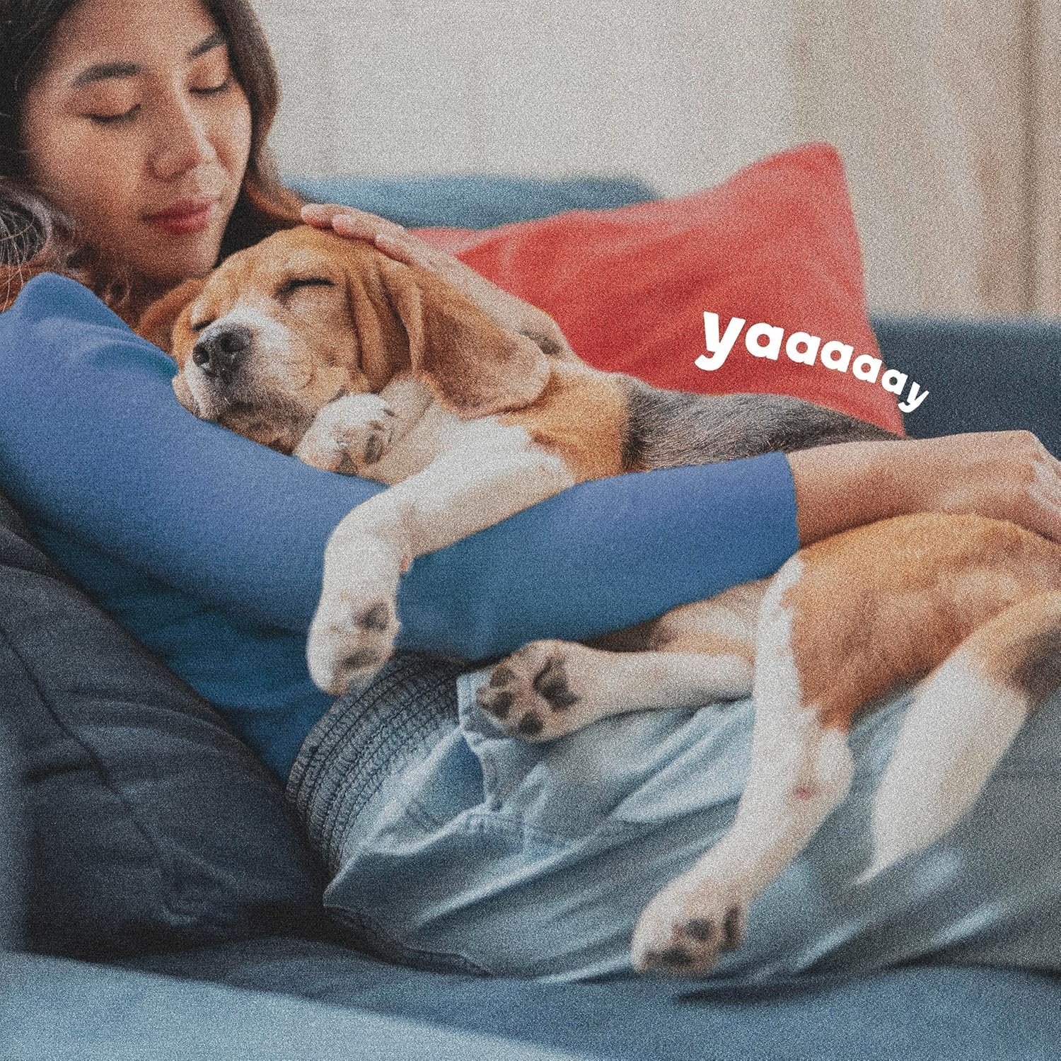 ADAMS Flea & Tick Collar Plus for Dogs & Puppies, 2 Pack, 12 Month Protection, Adjustable One Size, Kills Fleas, Ticks & Repels Mosquitoes, Excluding California - Image 6