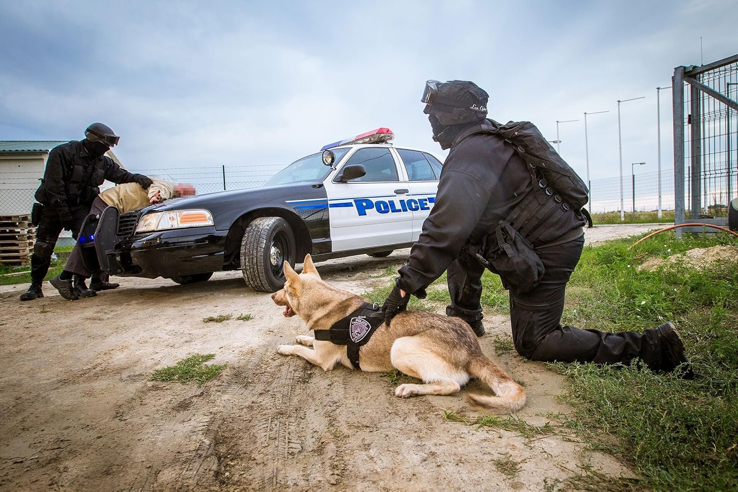 Julius-K9, 16STEALTH-P-1, IDC Stealth Powerharness for Dogs, Size: 1, Black - Image 5