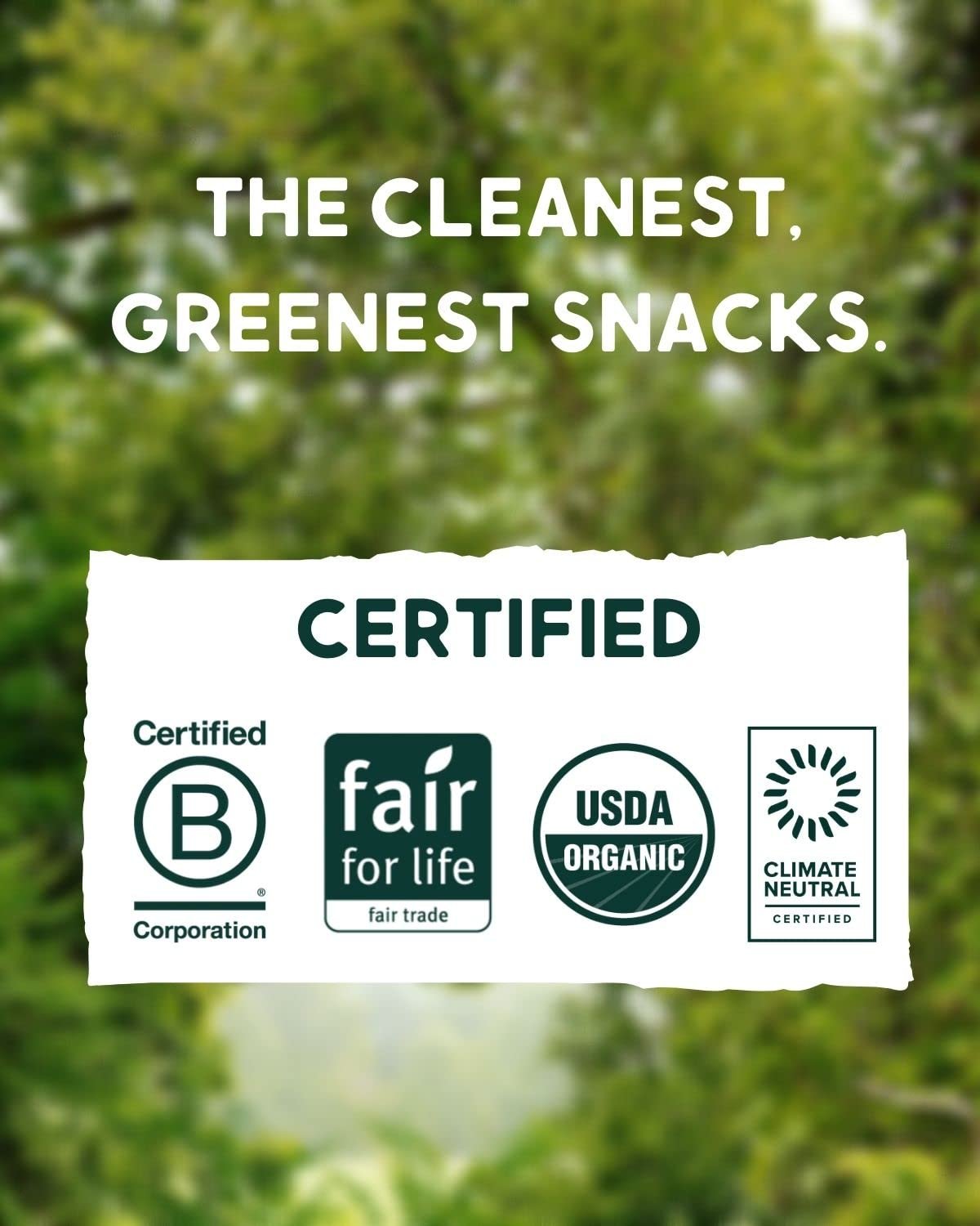 Alter Eco | Dark Chocolate Bars | Pure Dark Cocoa, Fair Trade, Organic, Non-GMO, Gluten Free (Mint Blackout) - Image 5