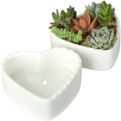 2pcs Heart-Shaped Pure White Ceramic Cactus Succulent Plant Pots.