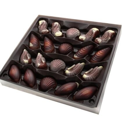 Belgium Chocolates 20 Piece Artisanal Chocolate Seashell Truffles, Hazelnut Filling. 8.82oz