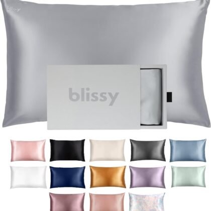 Blissy Silk Pillowcase - 100% Pure Mulberry Silk - 22 Momme 6A High-Grade Fibers - Silk Pillow Cover for Hair & Skin - Regular, Queen & King (Silver, Standard)