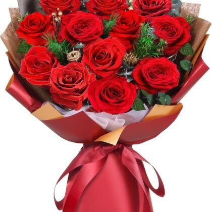 ADDWel Valentine's Gifts for Her, Preserved Red Rose Bouquet – Real Long-Lasting Flowers Gift for Wife, Girlfriend, Mom – Romantic Vday, Anniversary, Birthday, Graduation Gifts for Women