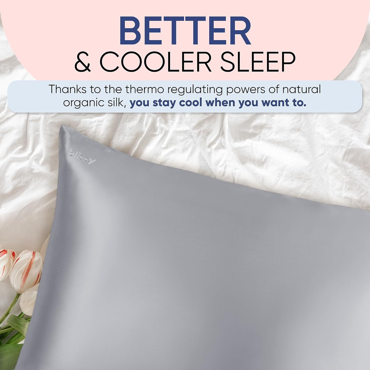 Blissy Silk Pillowcase - 100% Pure Mulberry Silk - 22 Momme 6A High-Grade Fibers - Silk Pillow Cover for Hair & Skin - Regular, Queen & King (Silver, Standard) - Image 8