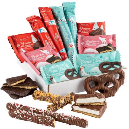 Astor Chocolate Winter Christmas Gift Basket Chocolate Stocking Stuffers, S’mores, Assorted Rich Belgian Milk and Dark Chocolate Covered Pretzel Twists & Rods, Grahams, Holiday 2025 Gift Box