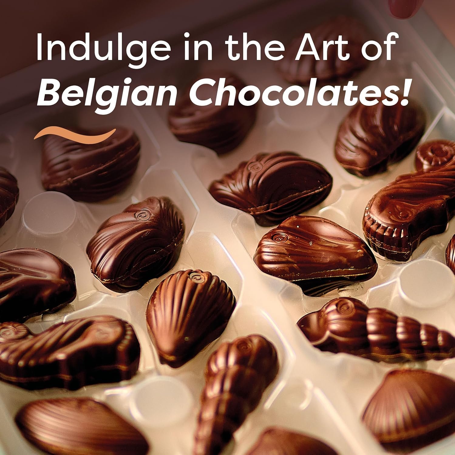 Valentines Day Dark Chocolate Seashells Gift Box by GuyLian, 7.94 oz, 20 pc (Pack of 2) Gourmet Belgian Dark Praliné with 72% Cocoa, Valentine Candy for Her and Him - Image 3