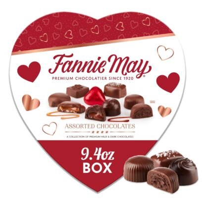 Fannie May Premium Assorted Milk and Dark Chocolate, Valentine's Day Heart Shaped Gift Box, 9.4 oz​