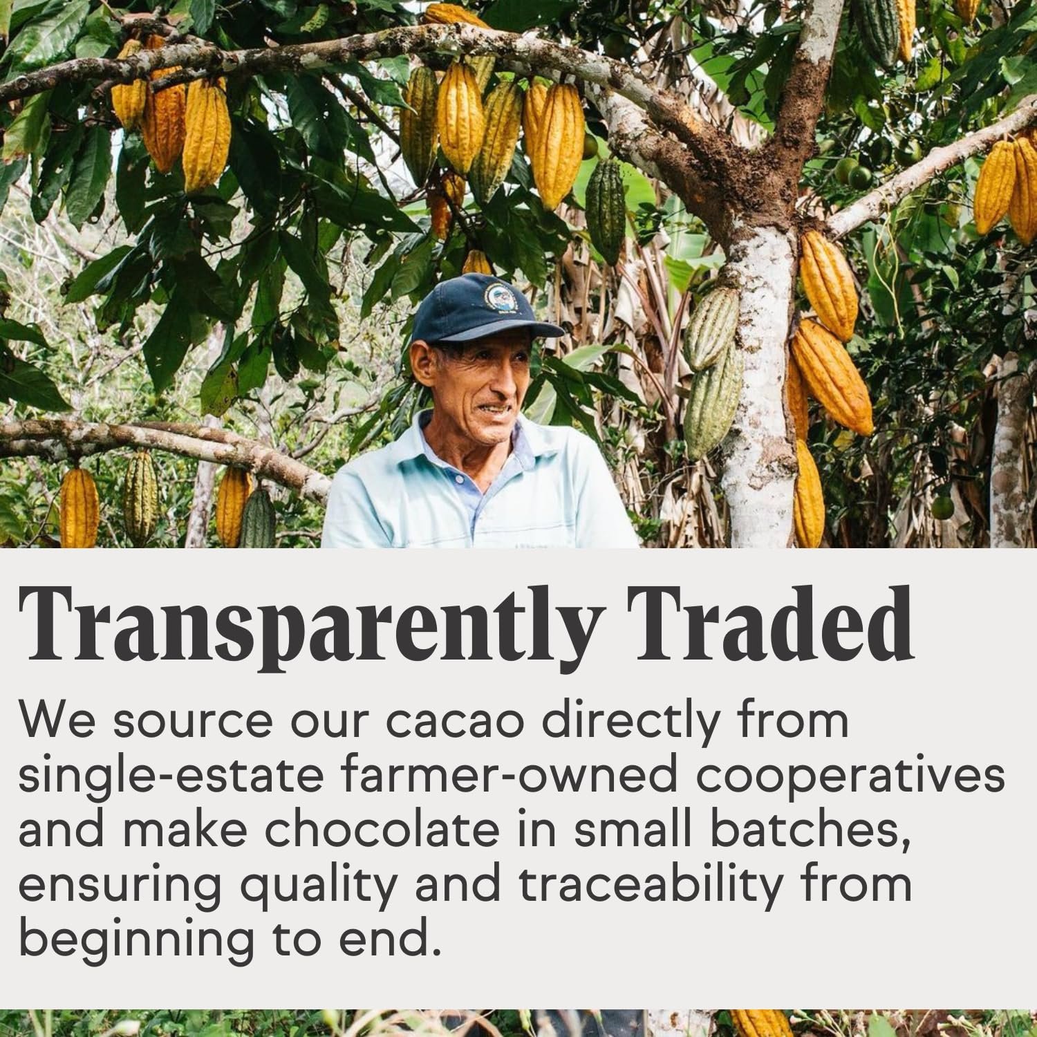 Raaka Dark Chocolate Gift Box | Mini Dark Chocolate Variety Pack | Organic, Vegan, Gluten Free | Box of 30 Individually Wrapped Chocolates - Image 5